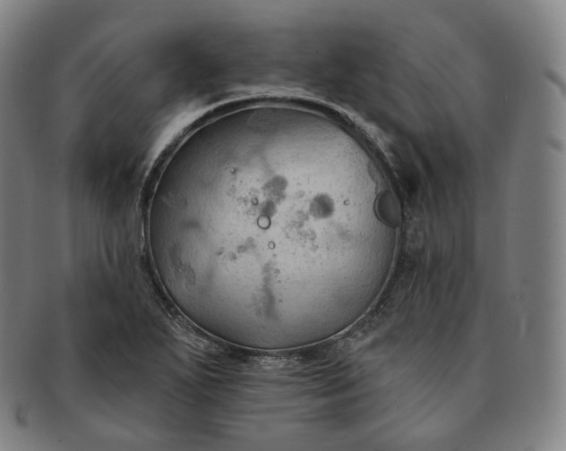 X0000091291271200708241021