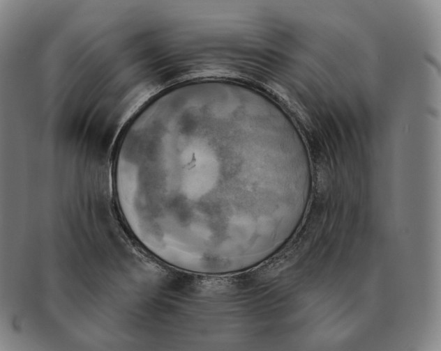 X0000091291274200708241021