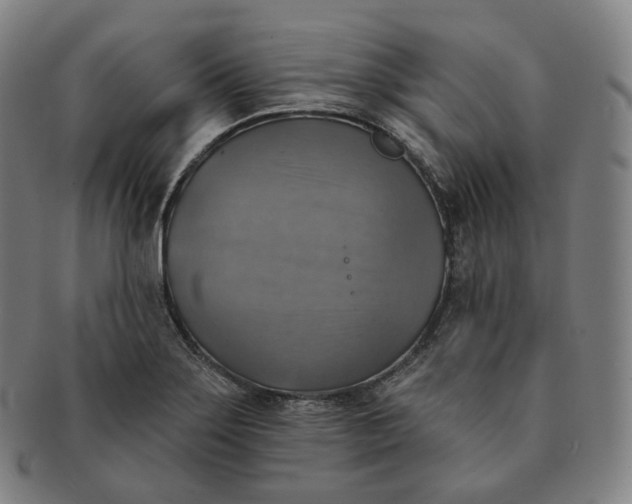 X0000091291275200708241021