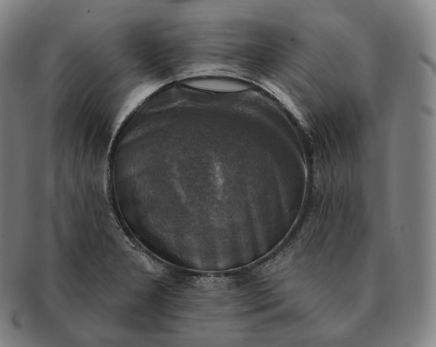 X0000091291277200708241021