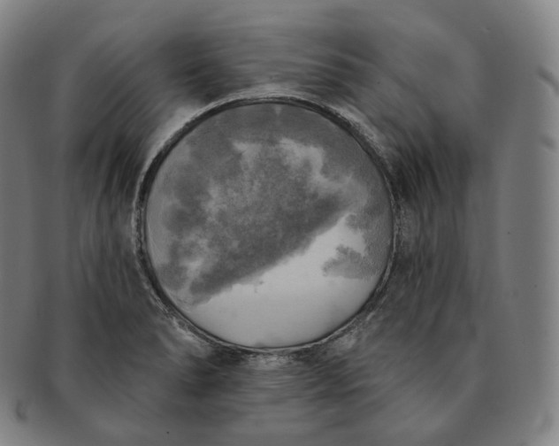 X0000091291278200708241021