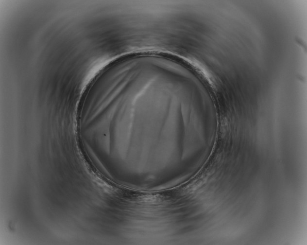 X0000091291279200708241021