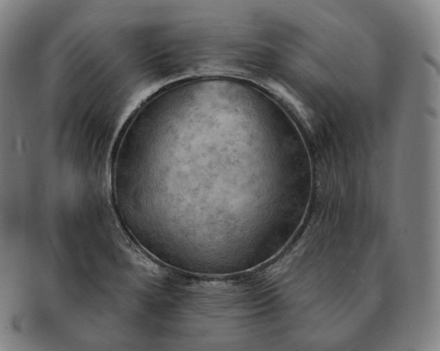 X0000091291280200708241021