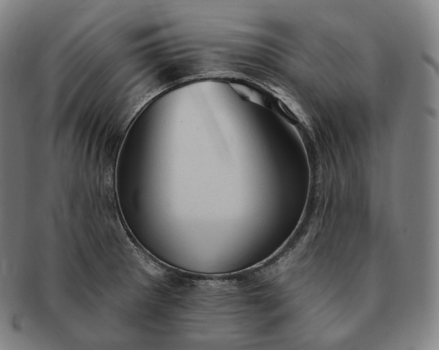 X0000091291281200708241021