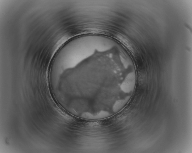 X0000091291283200708241021