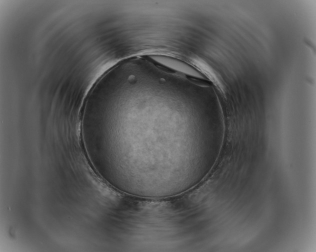 X0000091291284200708241021