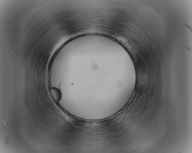 X0000091291286200708241021