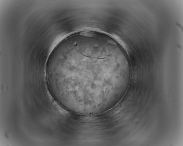 X0000091291287200708241020