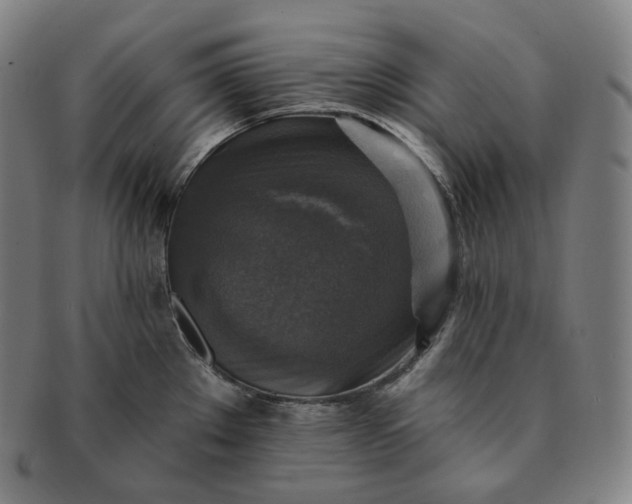 X0000091291289200708241020