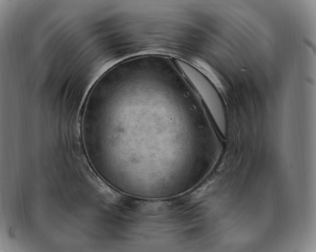 X0000091291292200708241020