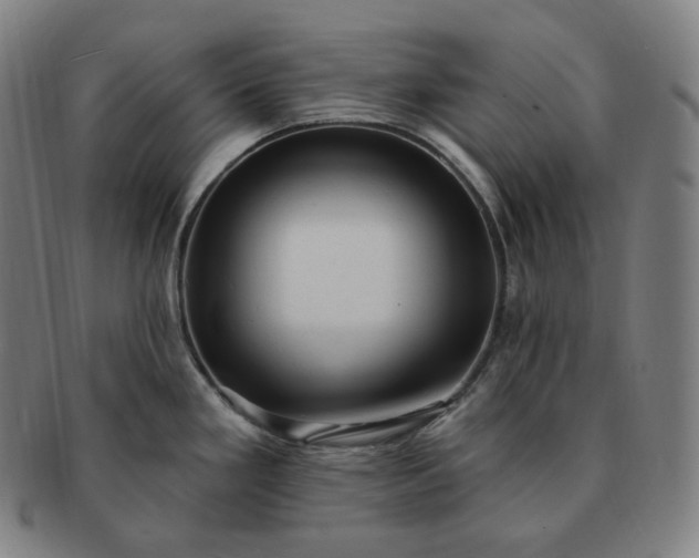 X0000091291293200708241020