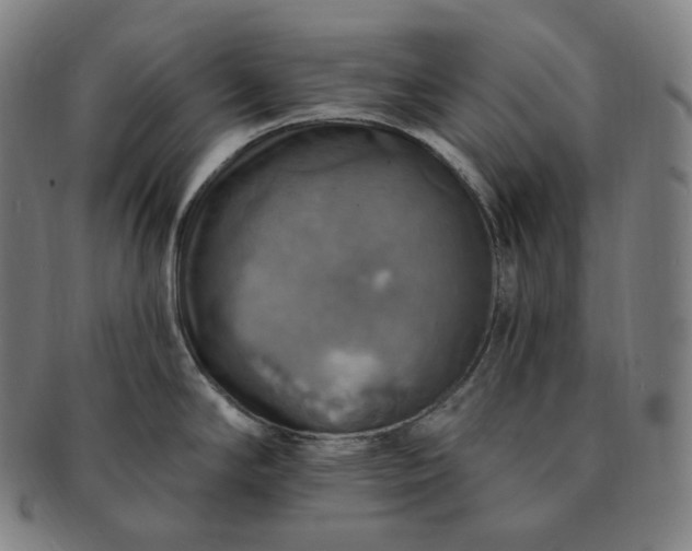 X0000091291294200708241020