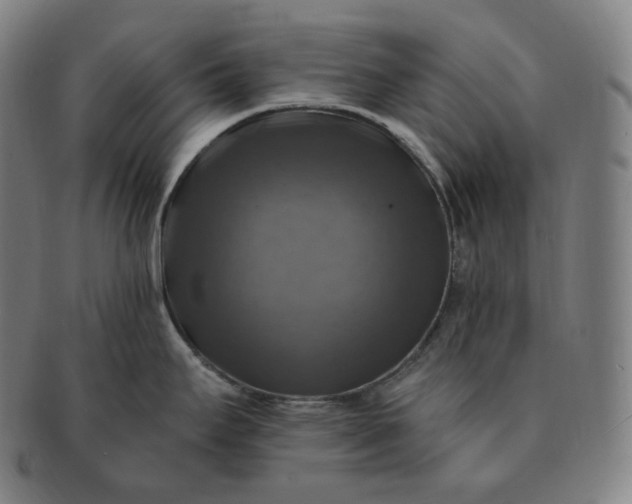 X0000091291295200708241020