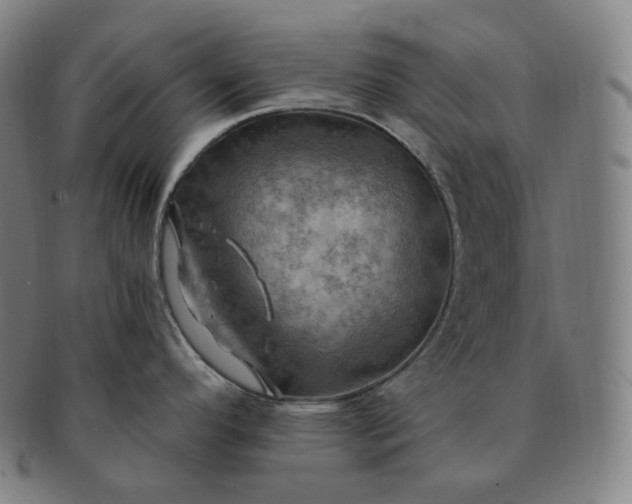 X0000091291296200708241020