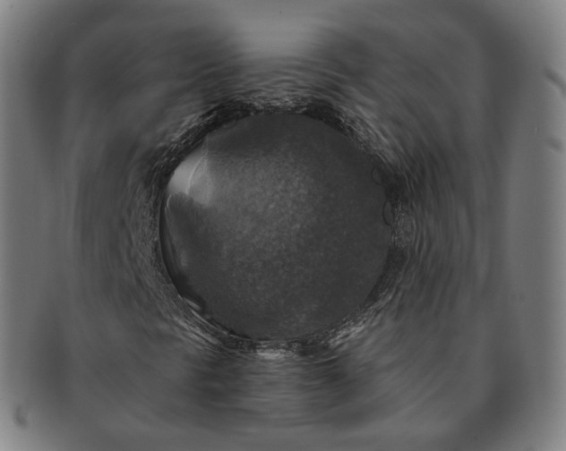 X0000091291297200708241020