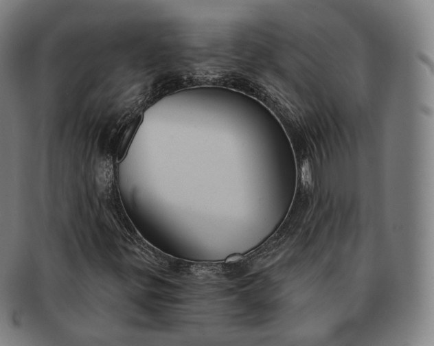 X0000091291299200708241020