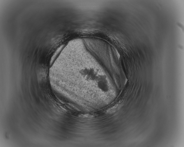 X0000091291300200708241020