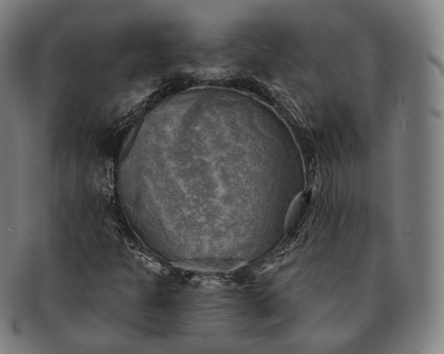 X0000091291301200708241020