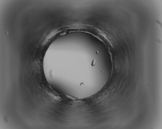 X0000091291304200708241020