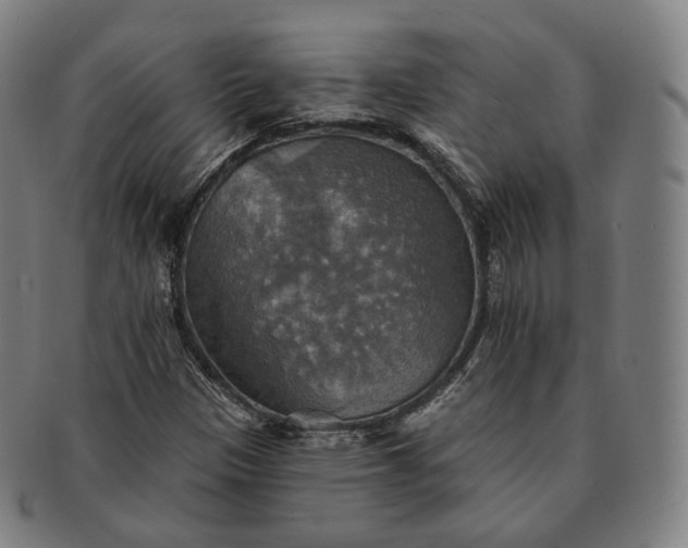 X0000091291305200708241020