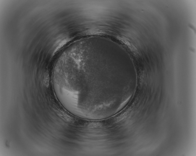 X0000091291306200708241020