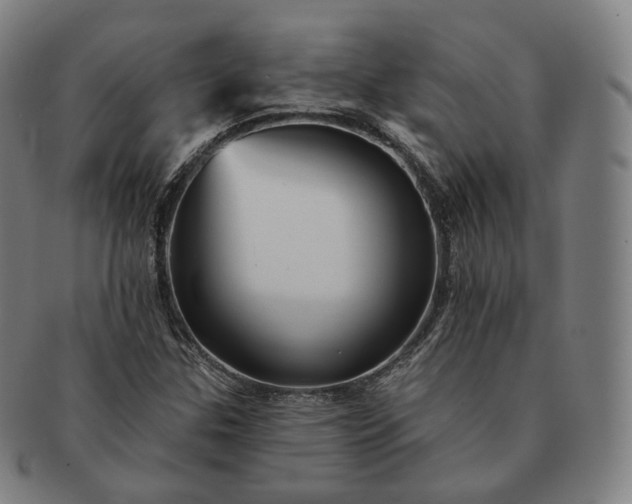 X0000091291307200708241020