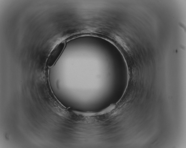 X0000091291308200708241020