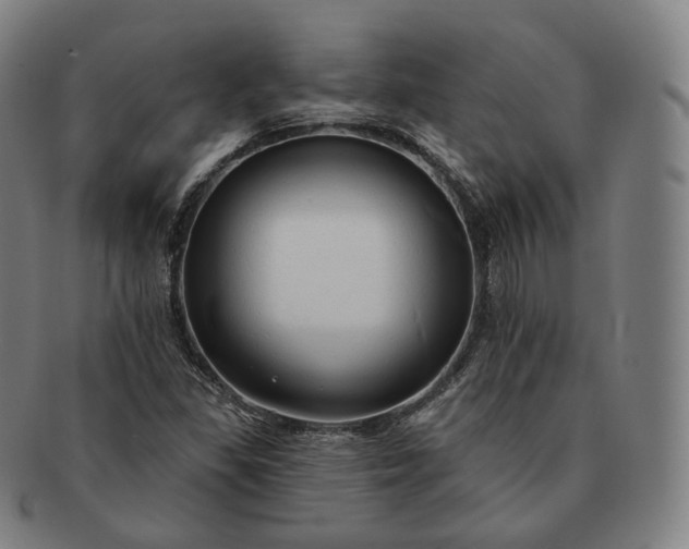 X0000091291309200708241020