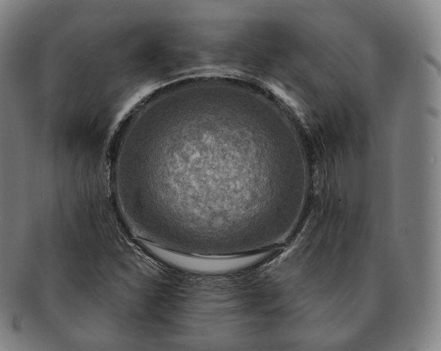 X0000091291310200708241020