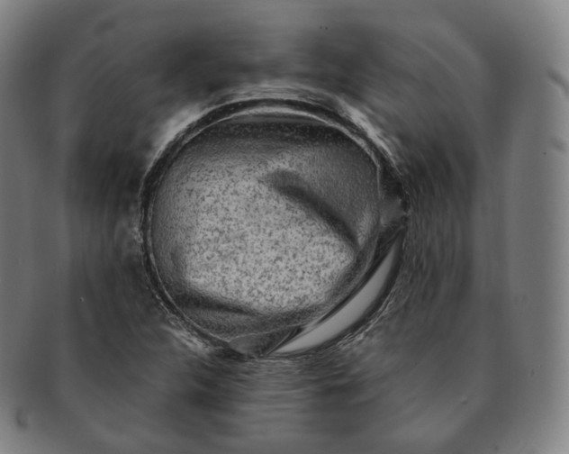 X0000091291312200708241020