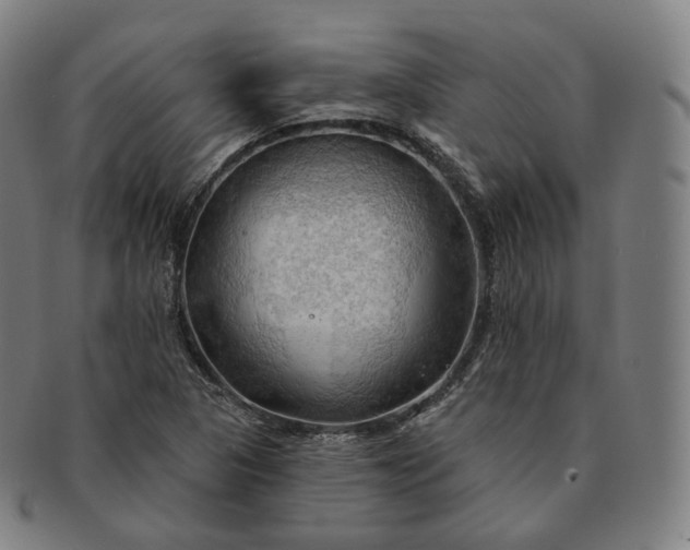 X0000091291313200708241020