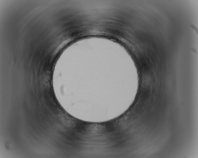 X0000091291314200708241020