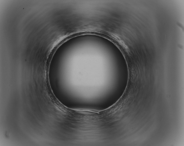 X0000091291316200708241020