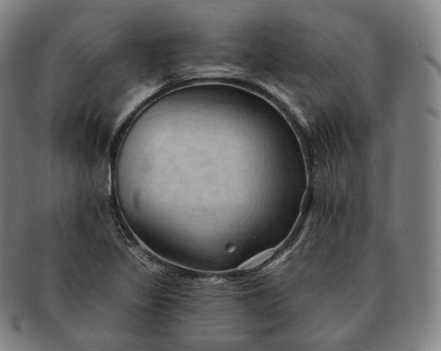 X0000091291317200708241020