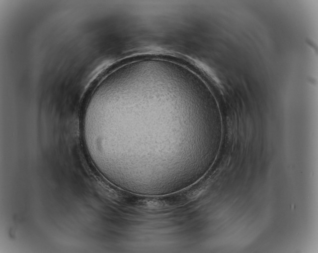 X0000091291318200708241020