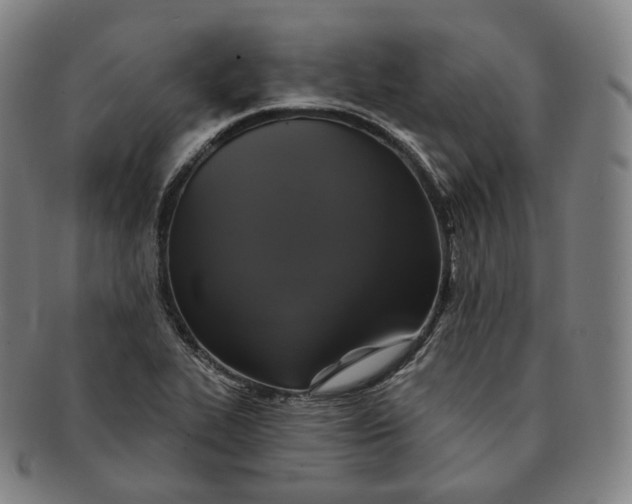 X0000091291319200708241020