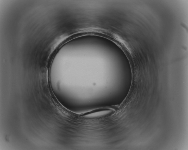 X0000091291320200708241020