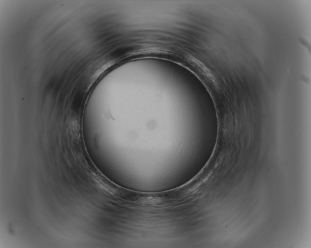 X0000091291321200708241020