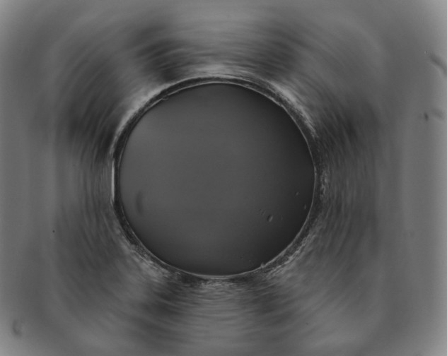 X0000091291323200708241020