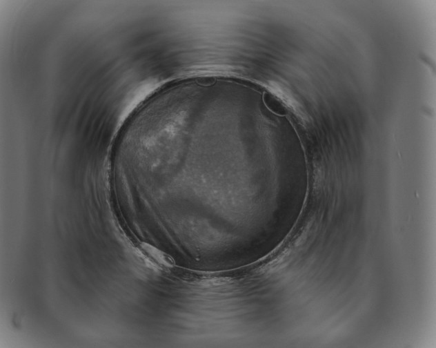 X0000091291325200708241020