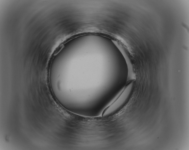 X0000091291326200708241020