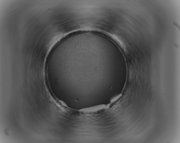 X0000091291327200708241020