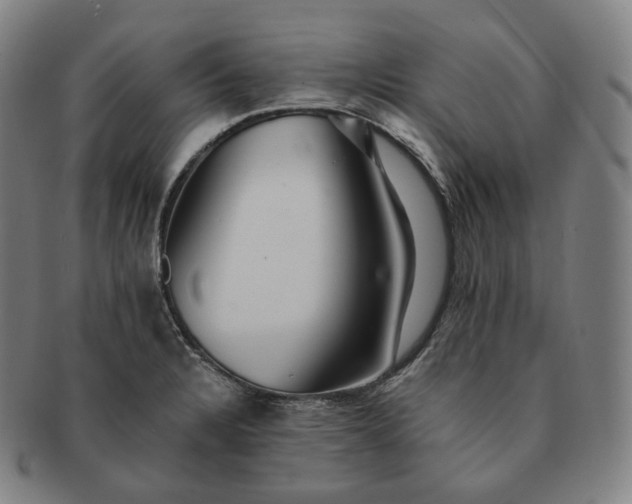 X0000091291328200708241020