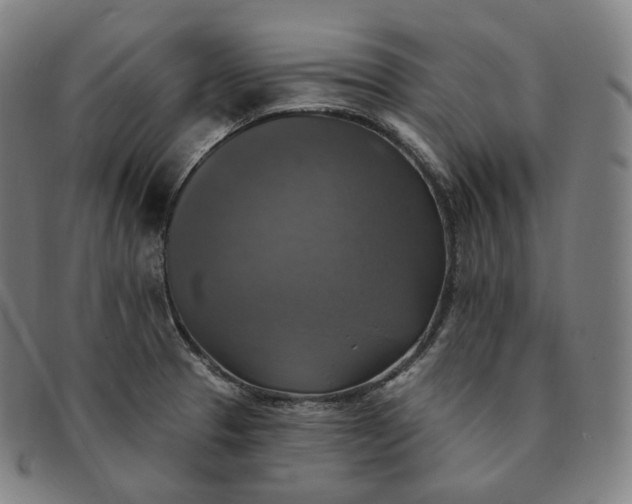 X0000091291329200708241020