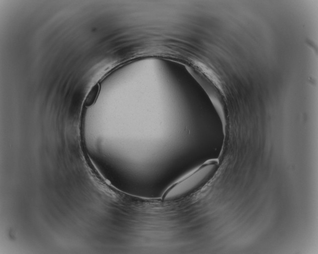 X0000091291330200708241020