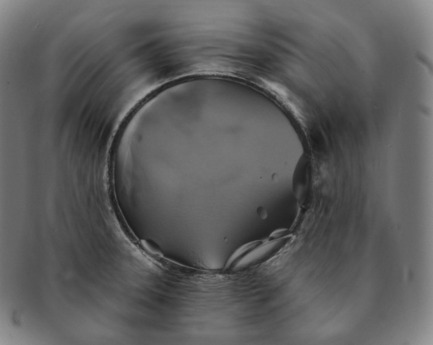 X0000091291331200708241020