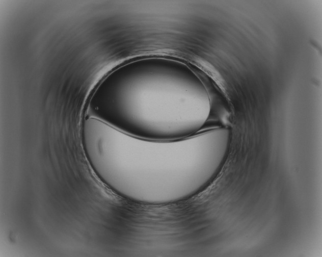 X0000091291332200708241020