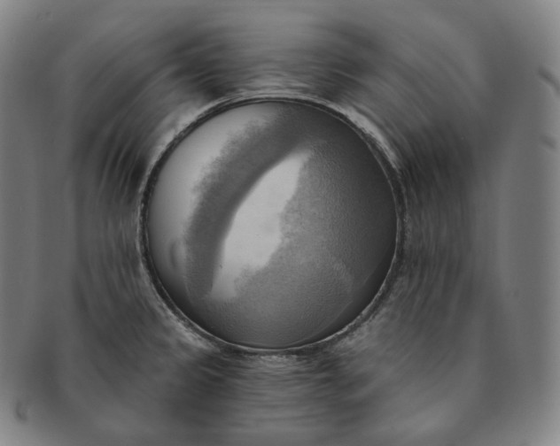 X0000091291333200708241020