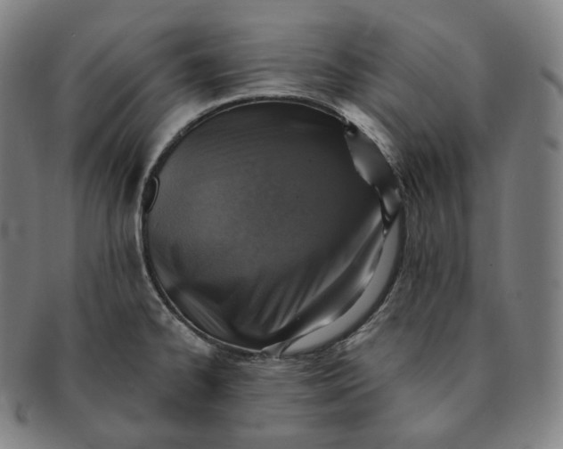 X0000091291334200708241020