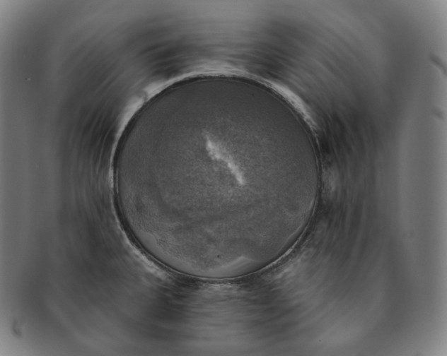 X0000091291335200708241020